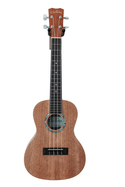 Acoustic guitar